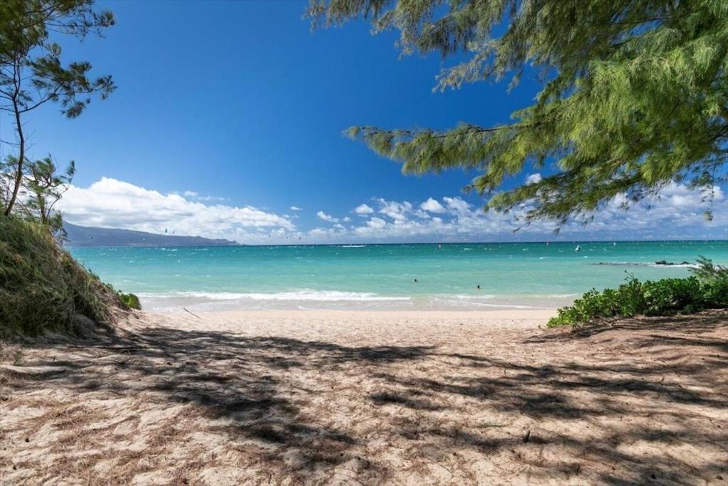 Unit 14 Maui Ohana Modern Studio Wailuku Bagian luar foto
